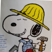 David Burge Email & Phone Number