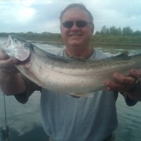 Steve Theobald