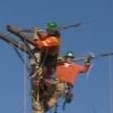 Pacific Electrical Installations Ltd (pacific powerlines) Employee Sean Custeau's profile photo