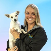 Southpaws Specialty, Emergency and Referral Hospital Employee Tegan Dziurek's profile photo