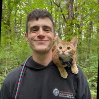 Friendship Hospital for Animals Employee Danny Capasso's profile photo