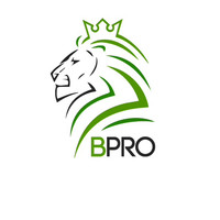 BPro Inc Employee Sergio Shakhov's profile photo