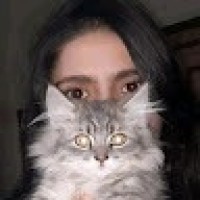 Next Web Employee Noor Malik's profile photo