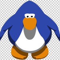 Chad Ryan Email & Phone Number