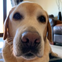 Pete Jackson Email & Phone Number