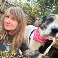 Dog & Pony Show  LLC Employee Krista Hughes's profile photo