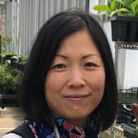 None Employee Rosie Chen's profile photo