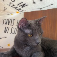 Diodes Incorporated Employee Johnny Lu's profile photo