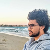 Mostafa Ali Email