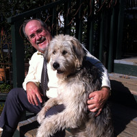 Boerner Law Firm, P.  C. Employee Bill Boerner's profile photo