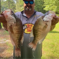 Kevin Rapson Email & Phone Number