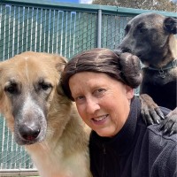 Camp Bow Wow Employee Kris Hanna's profile photo