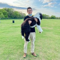 Toyota Financial Services Corporation Employee Damon Li's profile photo