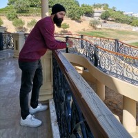 Syed Hamza Email
