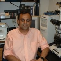 Oncotelic Employee Sanjive Qazi's profile photo