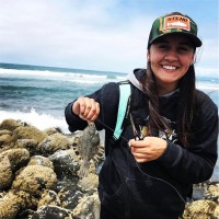 Alaskan Observers, Inc. Employee Gabriella Kurz's profile photo