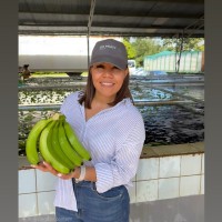 SHP Group Employee Rosan Arias's profile photo