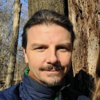 David Stayton Email & Phone Number