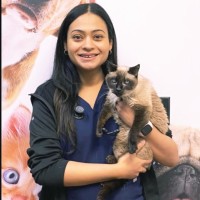 Devashree Pala Email