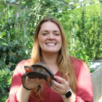 Turtle Survival Alliance Employee Chelsea Rinn's profile photo