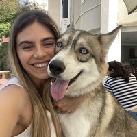 Amit Moscovitz's profile photo