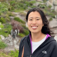 OpenAI Employee Elizabeth Yang's profile photo