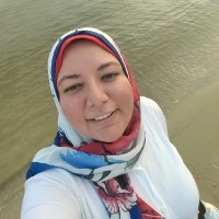 Asmaa Elbakry Email