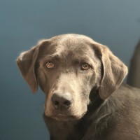 ALL-TEST Pro Employee Mike Bjorkman's profile photo