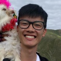Rene Wang Email