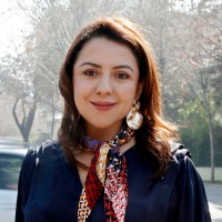 Email e telefono di Renata Avila