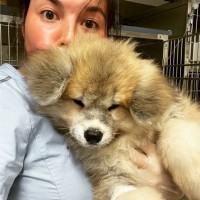 Okivét Employee Olivia Siadous's profile photo