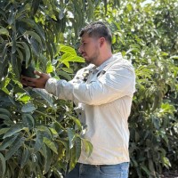 INKA SELECT FRUIT Employee Santiago Zegarra's profile photo
