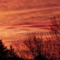 North Dakota State Library Employee Steven Hammel's profile photo