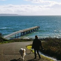 Calroy Health Sciences, LLC Employee Caroline Dombrowski's profile photo