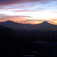 Phoenix Search Employee Laura Alvarez del Castillo's profile photo