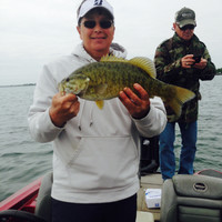 United Rentals Inc. Employee Kevin McDavid's profile photo