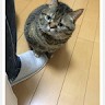 Pi P Email