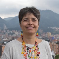Fundación Karisma Employee Carolina Botero's profile photo