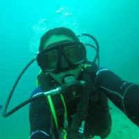 IMCS Network Employee Vivian Quiros's profile photo