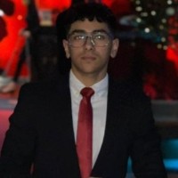 Waleed Shehzad Email