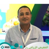 Ashraf Halawa Email