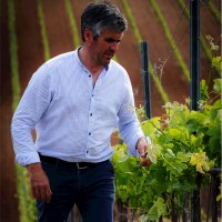 Bodegas Obergo Employee Joaquin Vidal Duran's profile photo