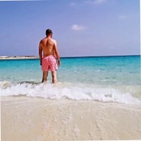 Nikola Davidovic's profile photo