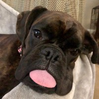 Planit Employee Jed Jecelin's profile photo