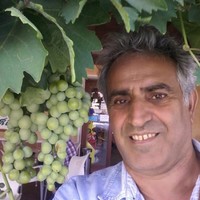Nader Parsia