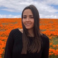 Mirato Employee Stav Harel's profile photo
