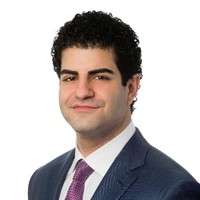 Arian Vojdani Email & Phone Number