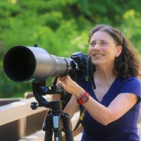 Cathy Drexler Email & Phone Number