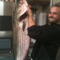 Fortune Fish & Gourmet Employee MJ Gimbar's profile photo