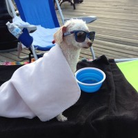 Talent Logic Inc. Employee Barry Klasson's profile photo